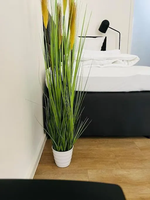 ברלין 2 Room Apartment Am Ufer Mit Boxspringbetten